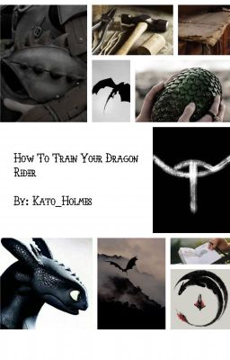 How to Train Your Dragon Rider cover