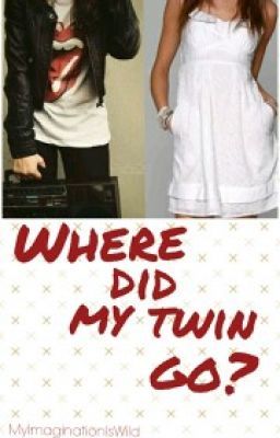 Where did my twin go? cover