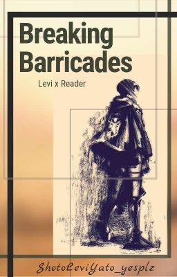 Breaking Barricades (Levi x Reader) cover