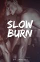 SLOW BURN by jamigallardo1012