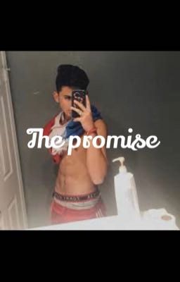 The promise  cover