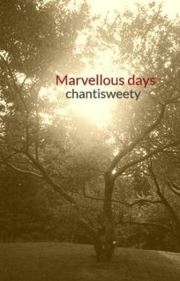 Marvellous days cover