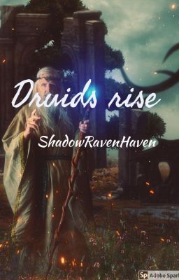 Druids Rise cover