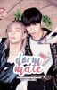 Dorm Mate | Seungjin