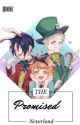 The promised neverland X Reader by Tendereviee