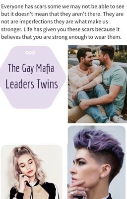 The Gay Mafia Leader's Twins cover