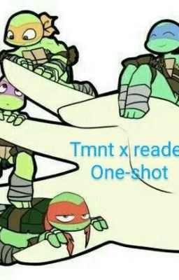 one shots ( TMNT x reader)  cover