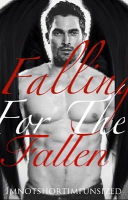 Falling For The Fallen cover