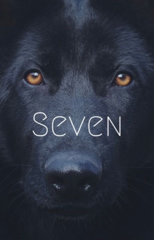 Seven ➳ d.dixon's dog by PyroManiac7