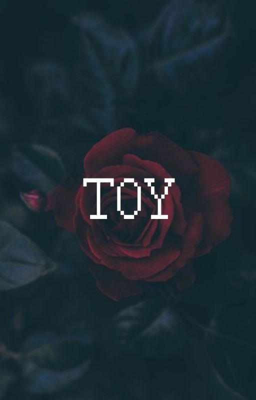 ＴＯＹ - Ｉ by VLC_Shang