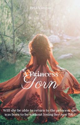 A Princess Torn (Alys Book #2) cover