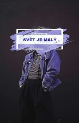 Svět je malý cover