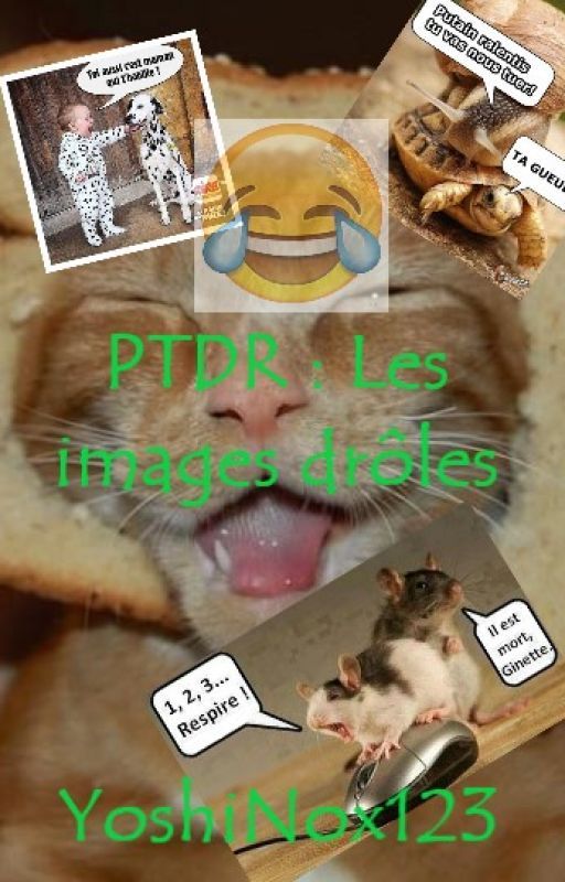 PTDR : les images drôles by criquette123