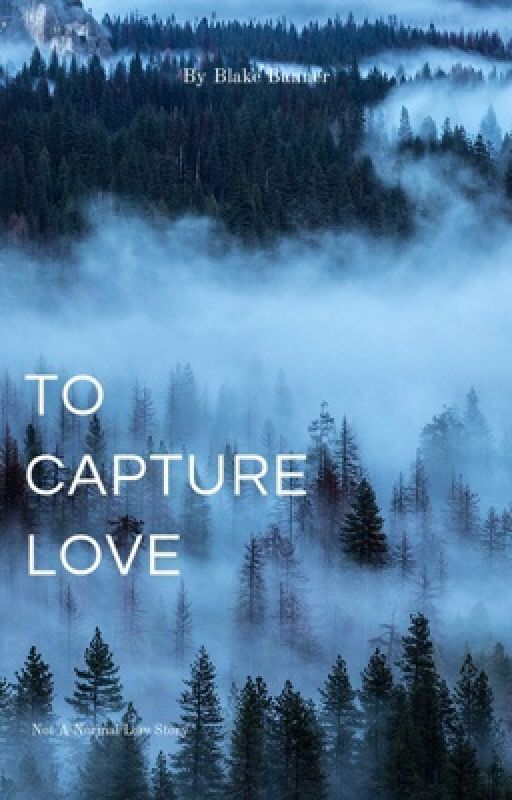 To Capture Love by literal-eggrolls