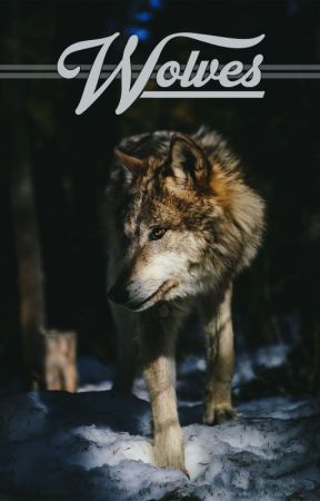 Wolves by Spear_Zone