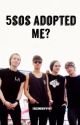 5SOS Adopted Me? by mercurygrant