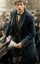 Reise in die Zukunft /Newt Scamander x reader/ by Viper_Ch4n