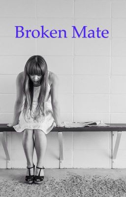 Broken Mate cover