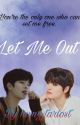 Let Me Out | SEUNGIN - Stray Kids  by hwngstarlost