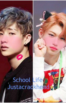 School Life ~ Chanlix cover