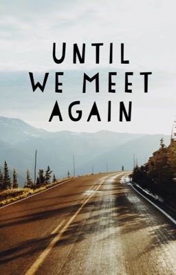 Until We Meet Again cover