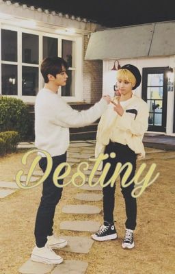 destiny [minsung au] cover