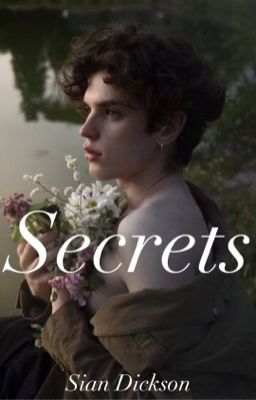 Secrets (boyxboy) cover