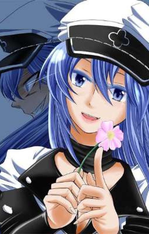 Yandere Esdeath x Female reader by MrPrime117