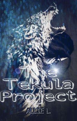 THE TEKULA PROJECT cover