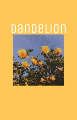 Dandelion {Park Jimin AMBW} cover