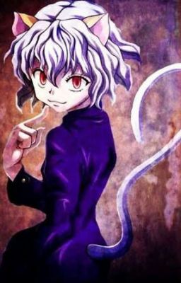 The brother of kite and a cat (neferpitou x male reader) cover