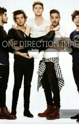 Mini 1D imagines cover