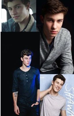 Shawn Mendes imagines. cover