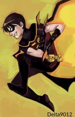 Robin |Young Justice Fanfiction| cover