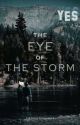 The Eye of The Storm - Far Cry 5 Fanfiction AU - John Seed X Fem!Dep by fiendinthenight