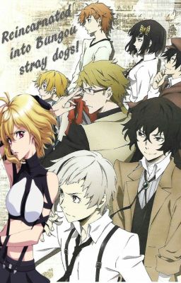 Reincarnated into Bungou Stray Dogs cover