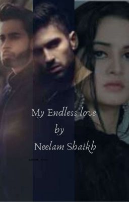 my endless love cover