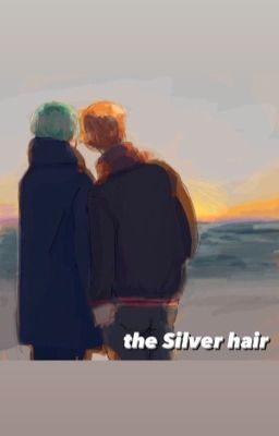 the Silver hair cover