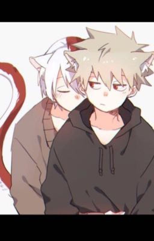 Opposites love~Todoroki x Bakugo (heat addition) by Sloth0317