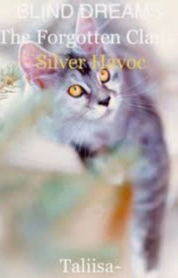 The Forgotton Clans~Silver Havoc cover