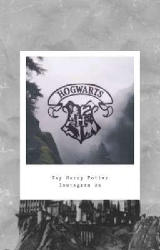 Gay Harry Potter Instagram Au by UnicornGayRainbow69