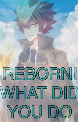 REBORN! WHAT DID YOU DO? cover