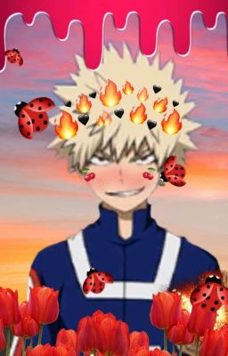 💥pretty bomb💥 {Katsuki Bakugou x Reader} cover