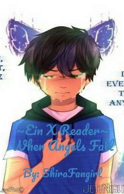 ~Ein X Reader~ When Angels Fall cover