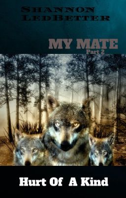 My mate: Part 2 cover