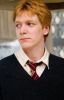 The Weasley's and The Ravenclaw (George Weasley Love Story)