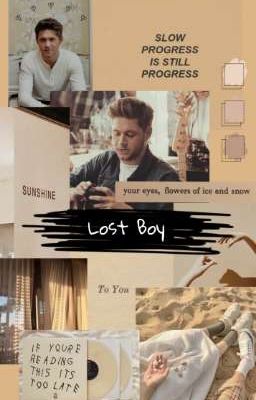 「 Lost Boy 」- Baby!Niall cover