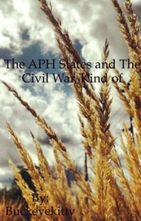 The APH States and The Civil War, Kind of by Buckeyekitty