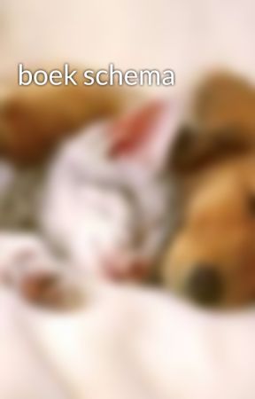 boek schema by QuincySmits