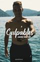 culpables | lautaro martínez.  by zweitens